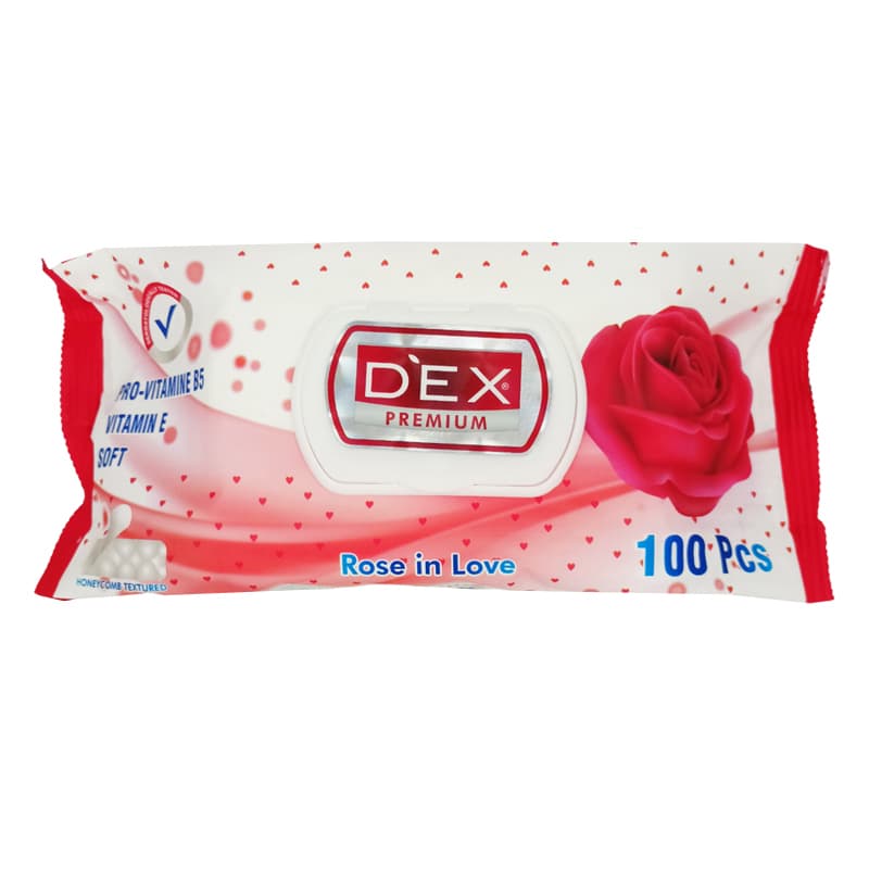 DEX PREMIUM ROSE IN LOVE 100 PCS