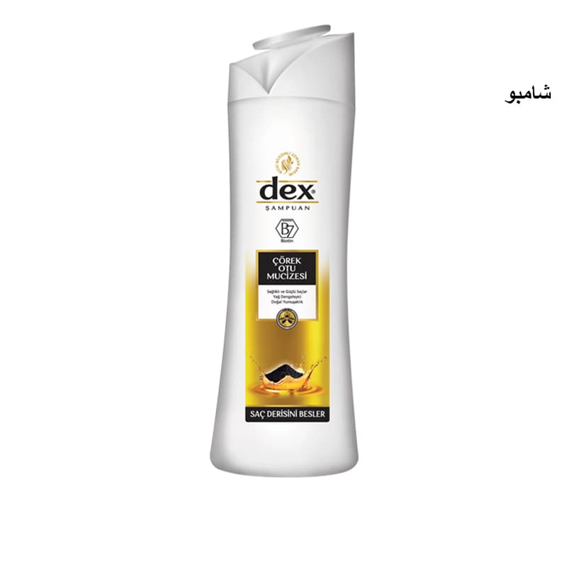 DEX DERISINI SHAMPOO 600 ML